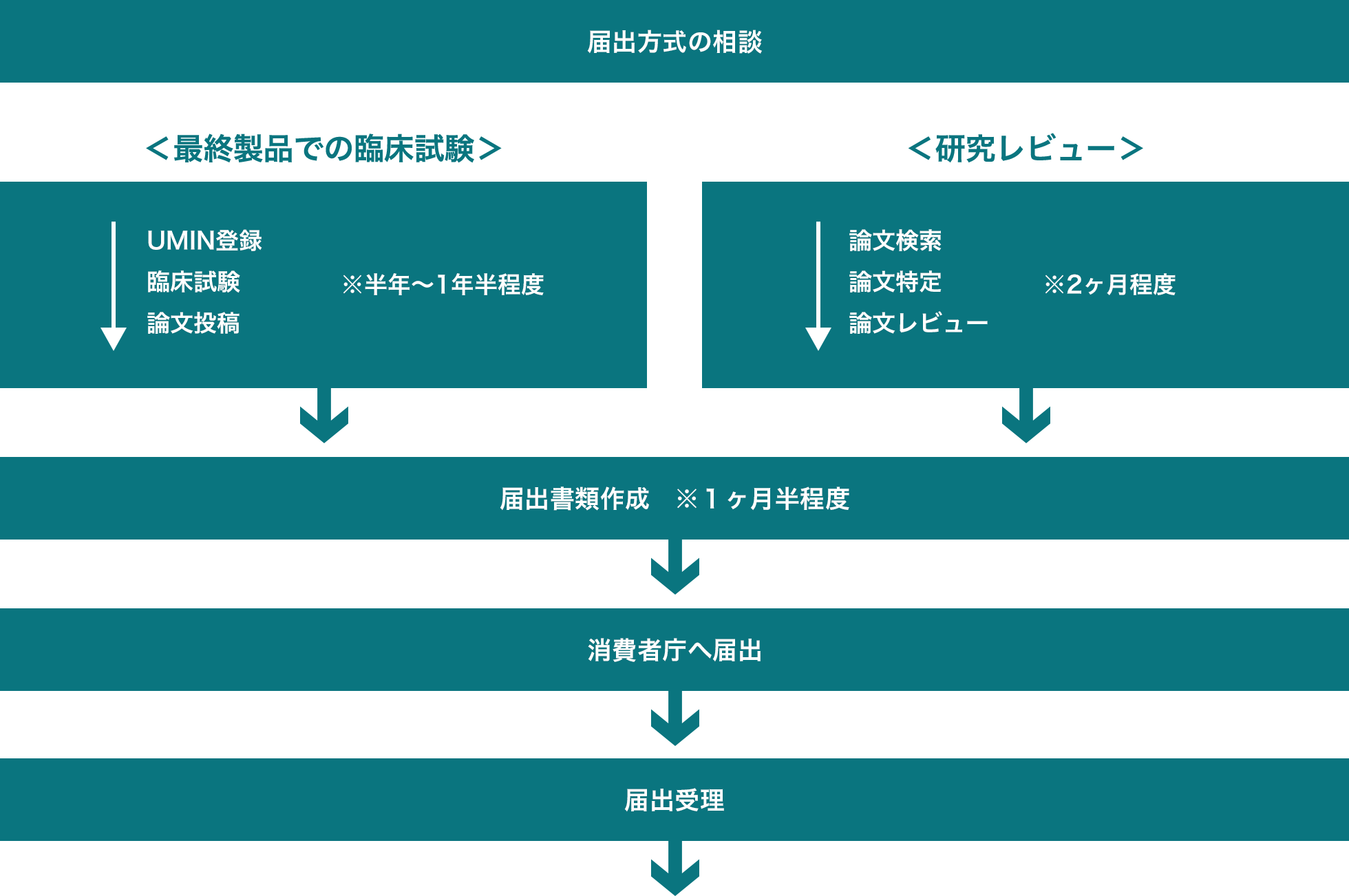 届出までの流れの画像