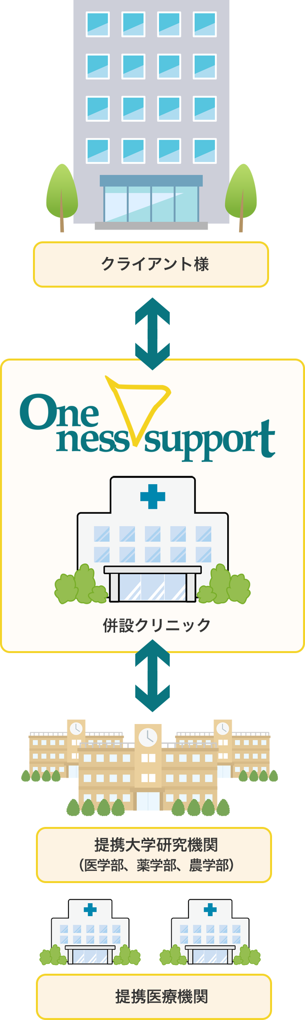 Oneness support の特徴の画像